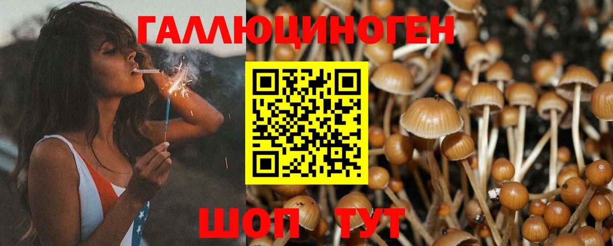закладки  Галлюциногенные грибы Magic Shrooms  Вход с VPN  Йошкар-Ола 